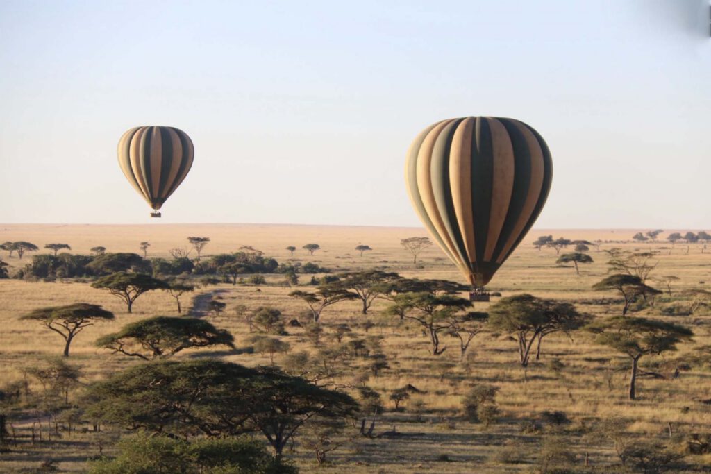 safari expirence_