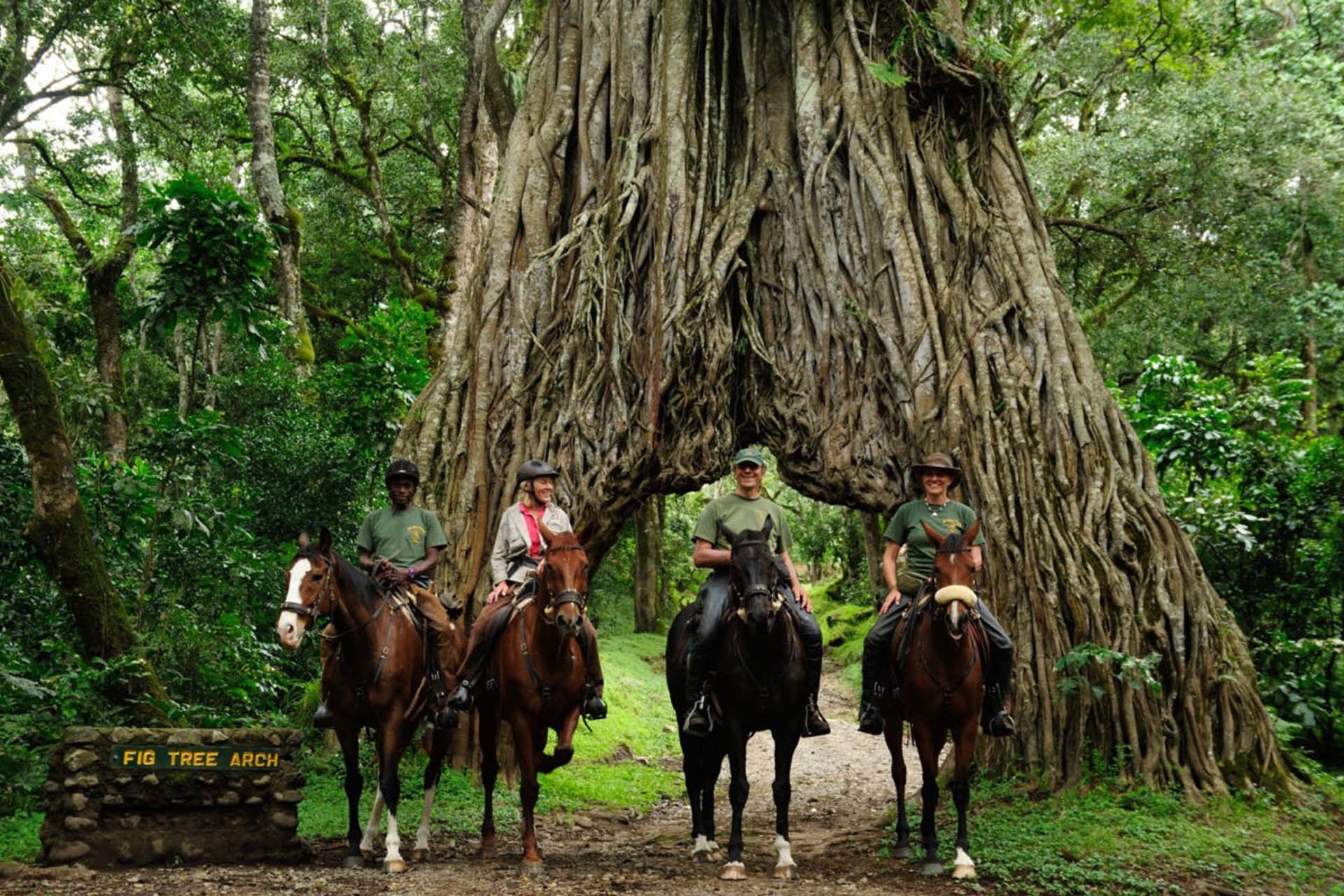 Arusha National Park