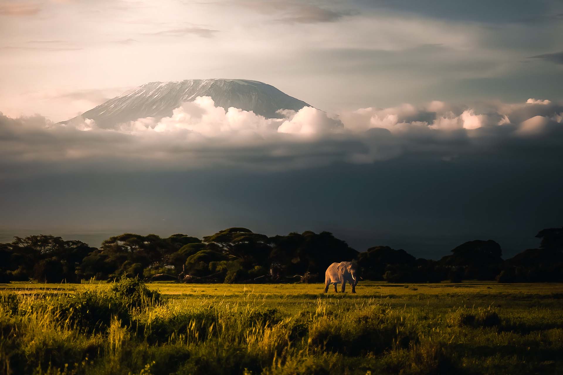 kilimanjaro national park_